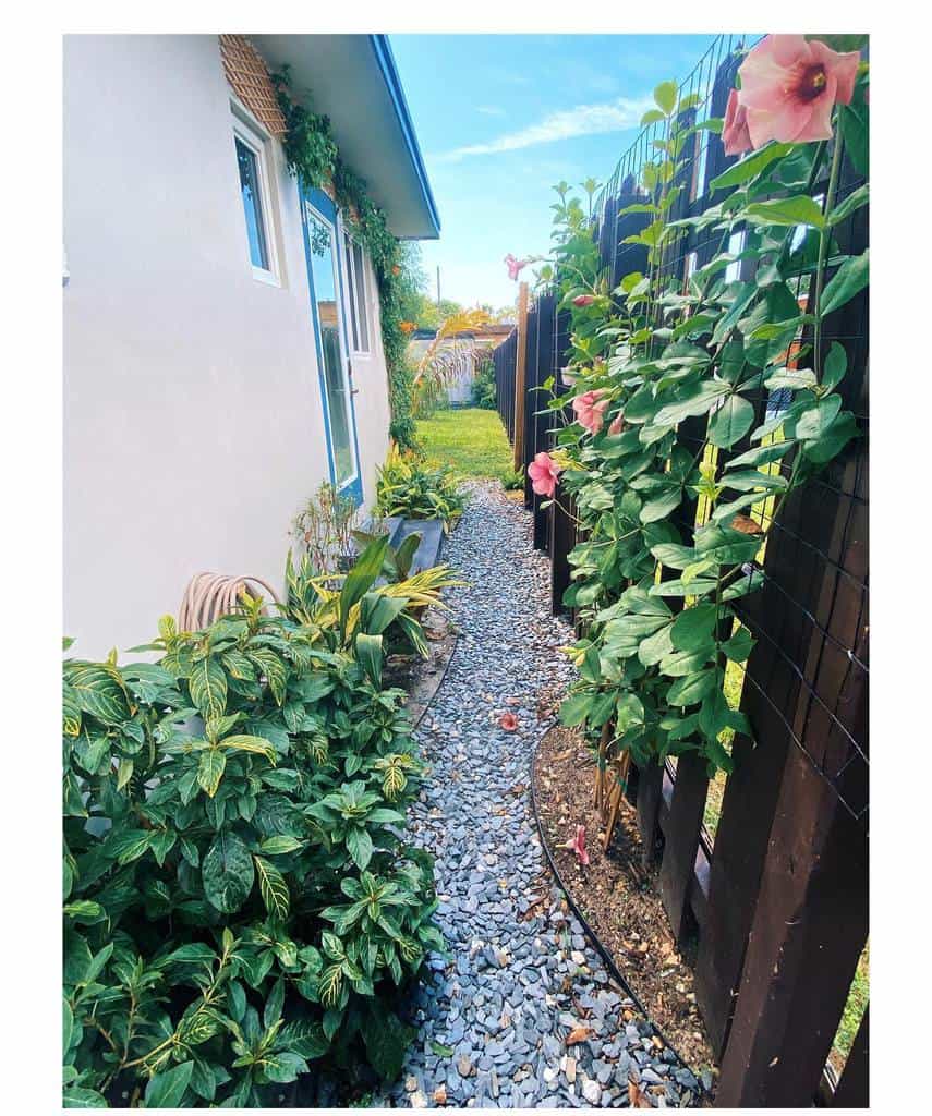 Narrow garden path with gravel, bordered by a house and a wooden fence adorned with pink flowers and green plants