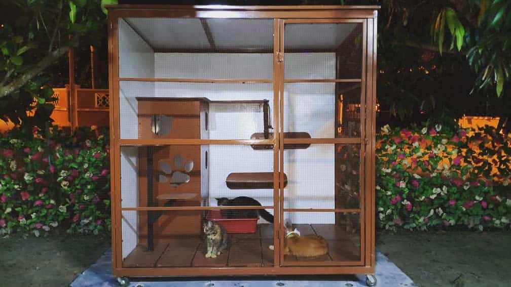 Spacious brown wooden catio with mesh walls, climbing shelves, a cozy hideout, and two cats lounging inside at night