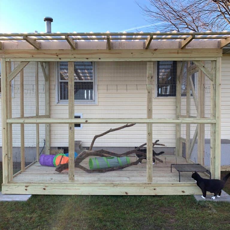 13 Catio Design Ideas for Your Purry Friend