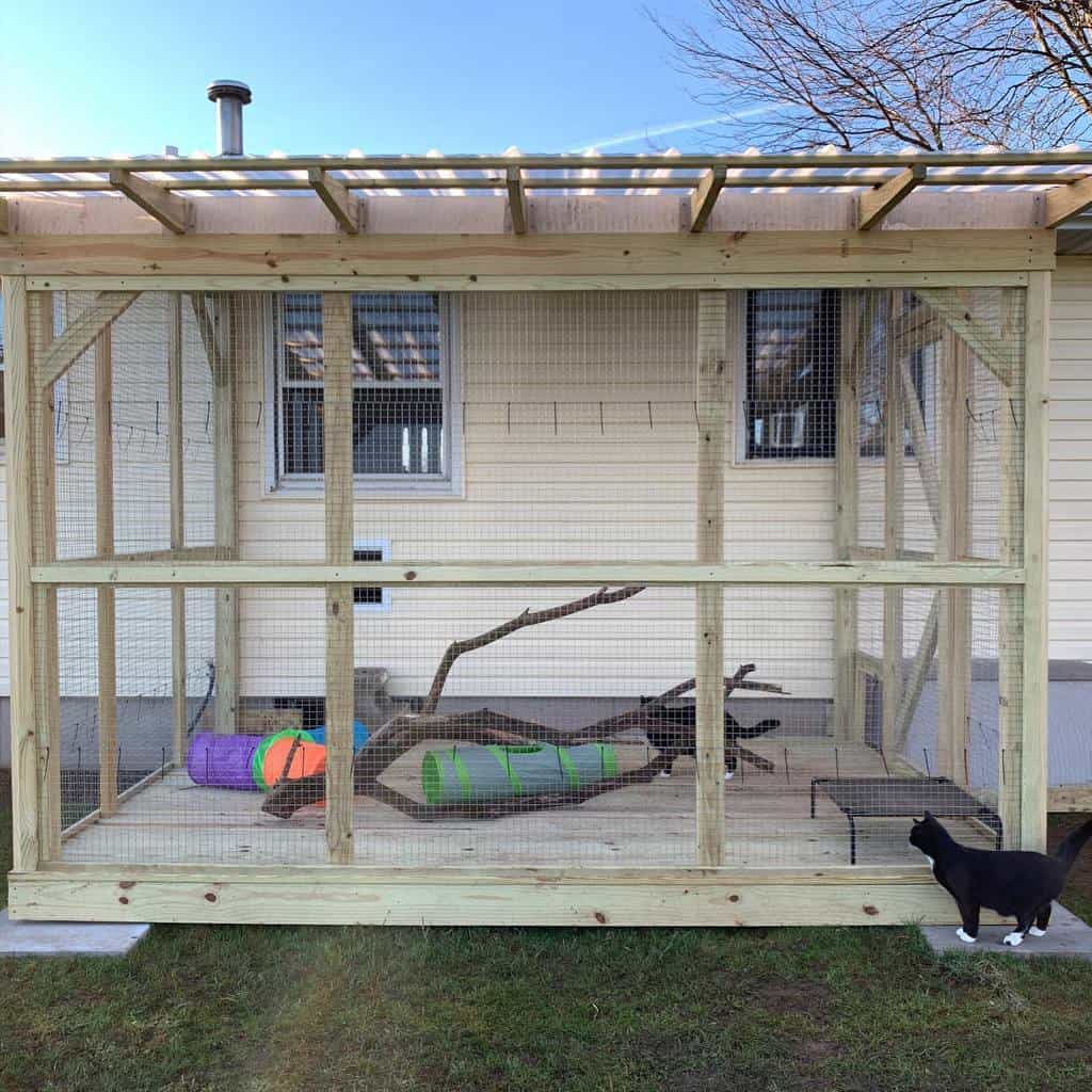 Outdoor catio with a wooden frame, mesh walls, tunnels, climbing branches, and a curious black-and-white cat exploring outside