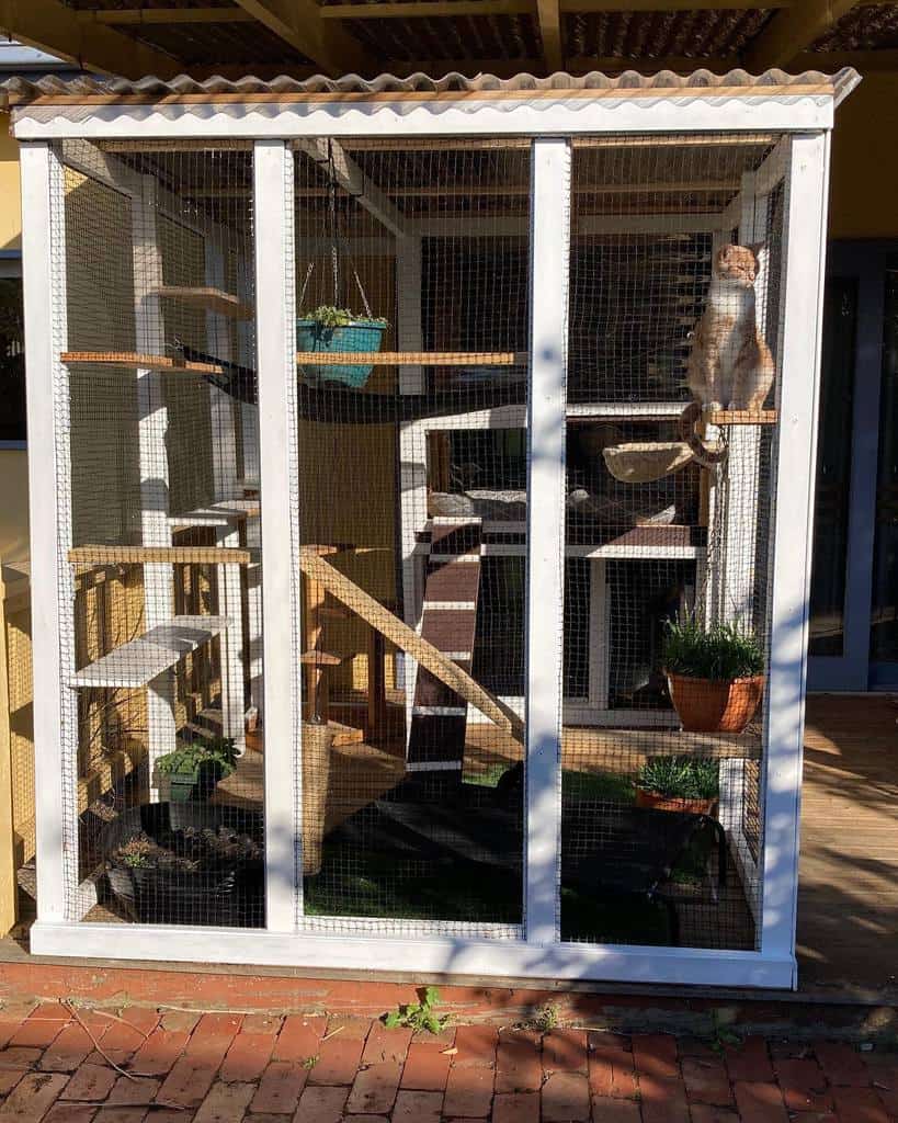 Outdoor cat enclosure with platforms, plants, and a cat climbing the mesh; sunlit area with shadows on the brick pavement