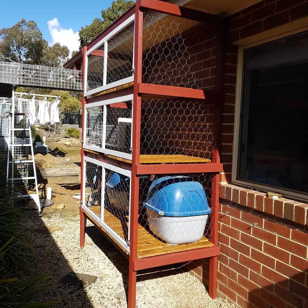 Outdoor multilevel cat enclosure with wooden shelves, wire mesh sides, and a blue litter box placed against a brick wall