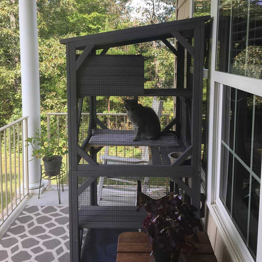 Cat sitting in a multi-level outdoor cat enclosure on a porch with plants and a patterned rug