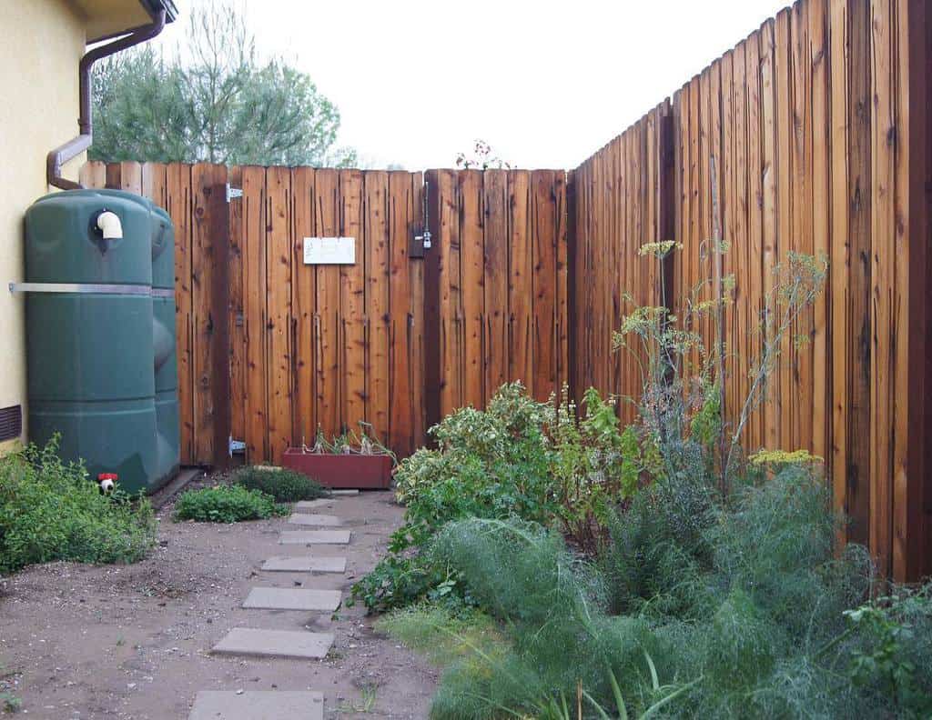 Garden path with stepping stones surrounded by plants, wooden fence, and a large green rain barrel against a house wall