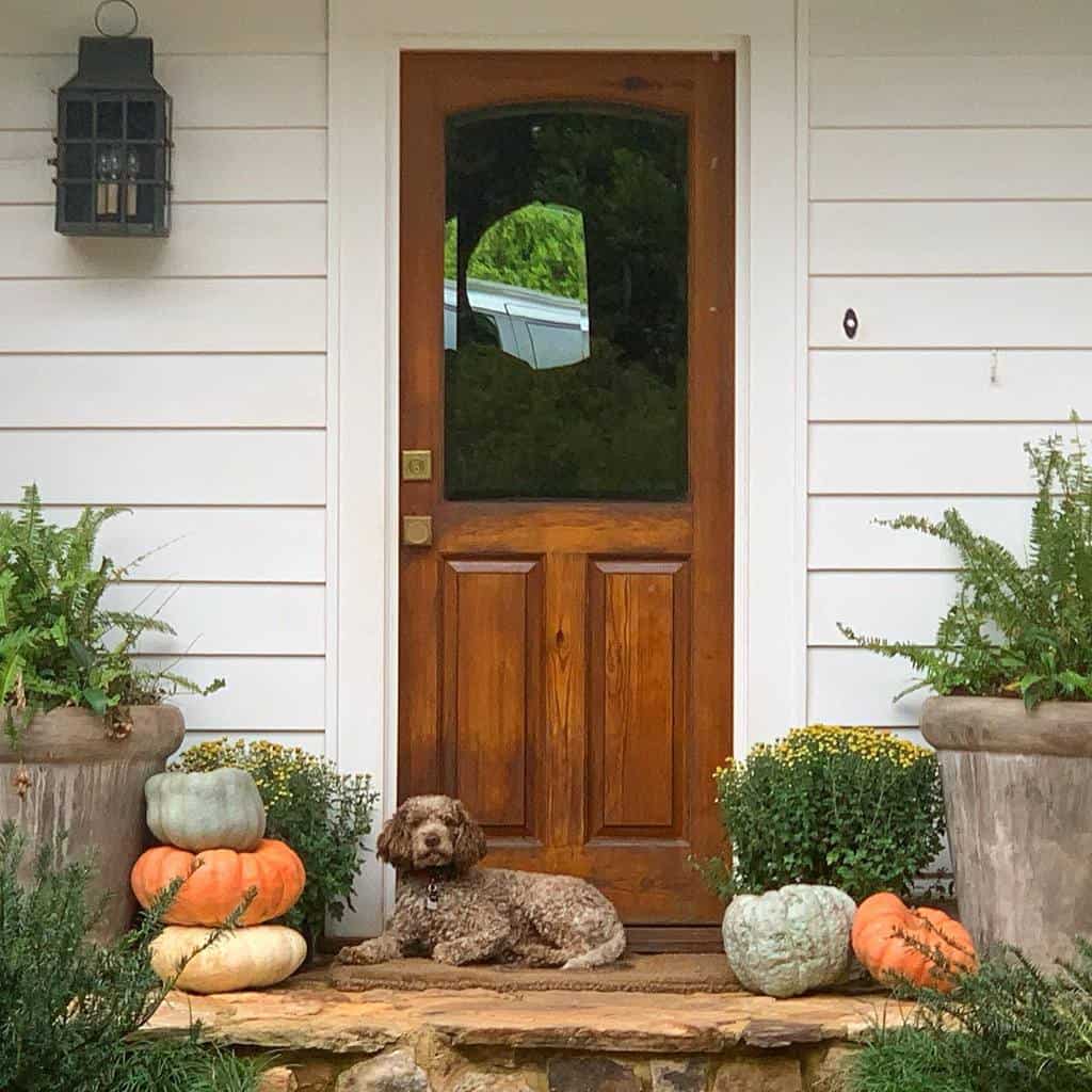 Entryway with potted plants