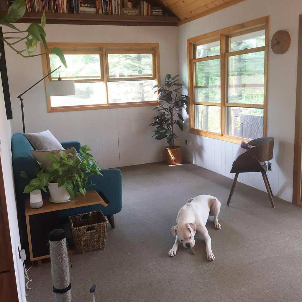 Cozy small home with large windows, a teal sofa, and warm wood accents. A relaxed dog completes the inviting, nature-filled space.