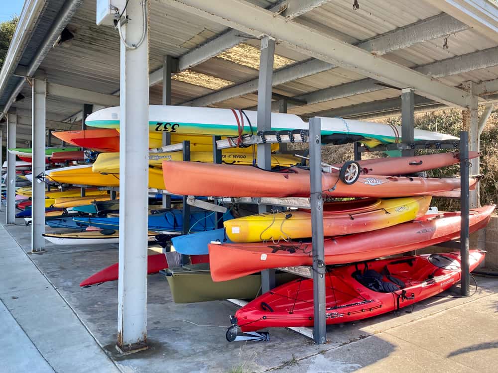 Outdoor kayak storage shed with racks