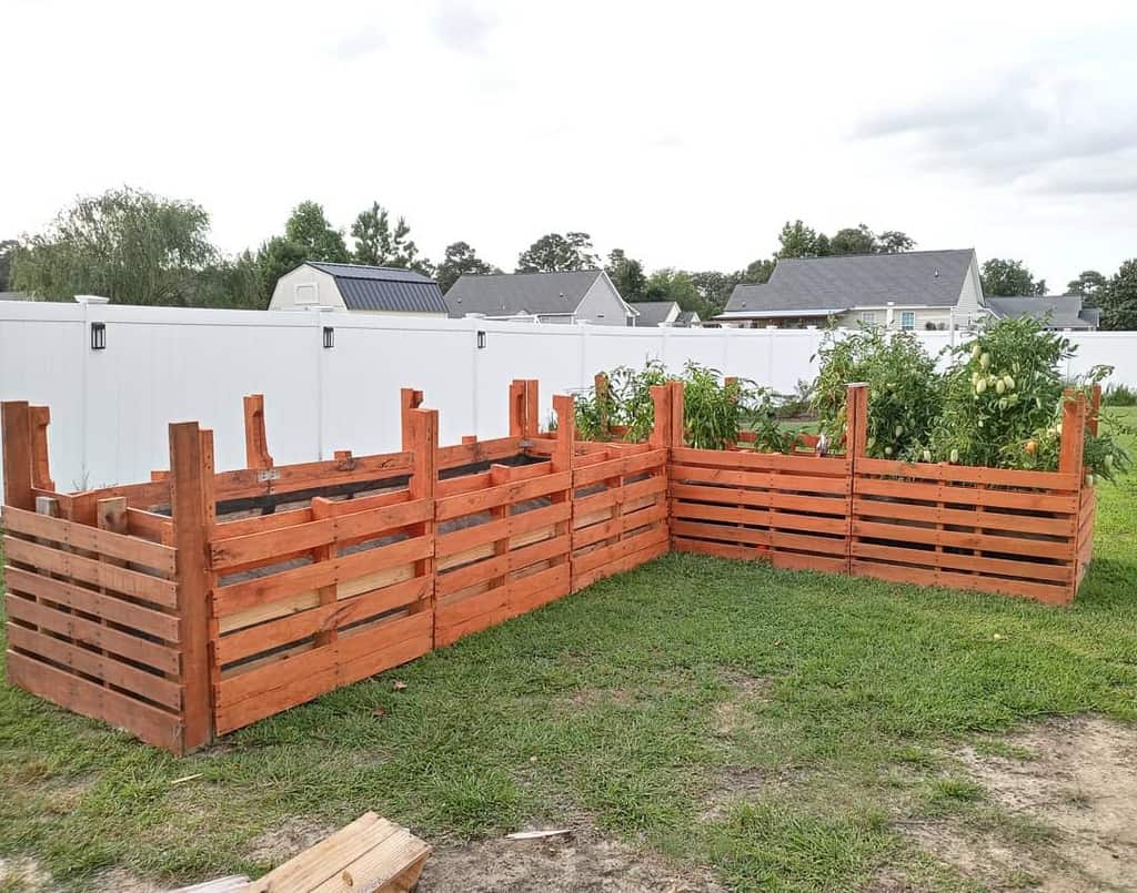 DIY pallet garden enclosure with a warm wood finish, creating a raised bed for growing lush tomato plants in a backyard setting