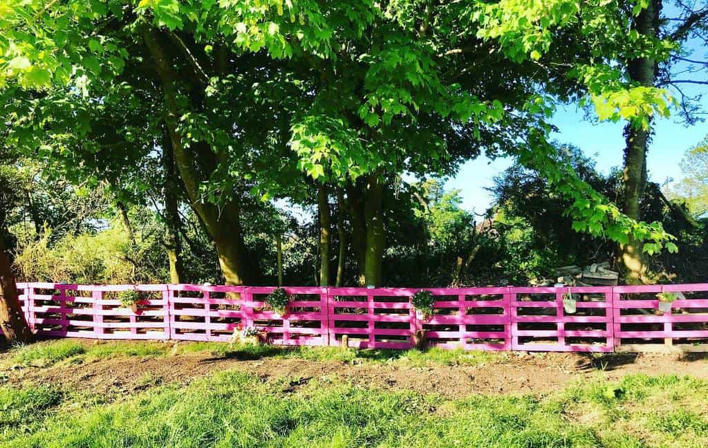 Vibrant pink DIY pallet fence adorned with small hanging planters, adding a playful and decorative touch to a lush green outdoor space