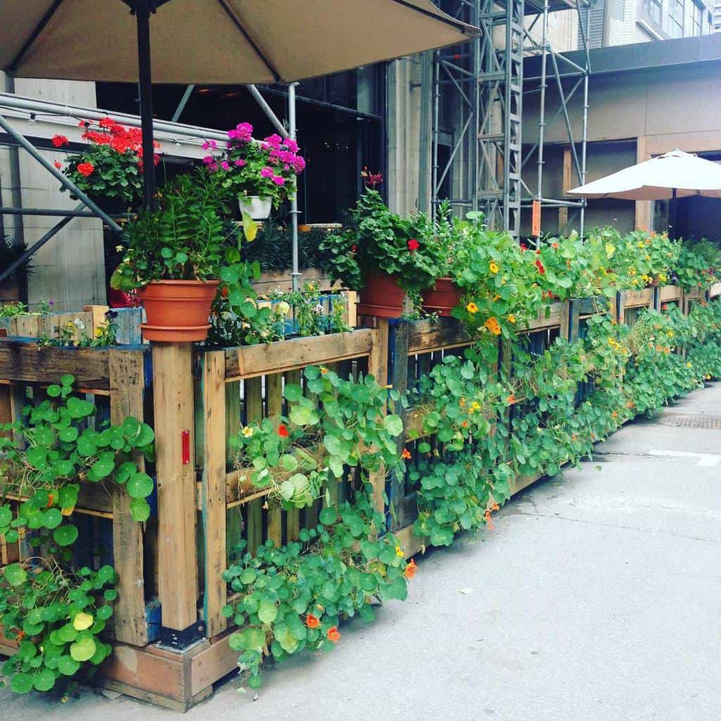 Charming DIY pallet fence covered in lush greenery and vibrant flowers, creating a cozy and inviting outdoor café space