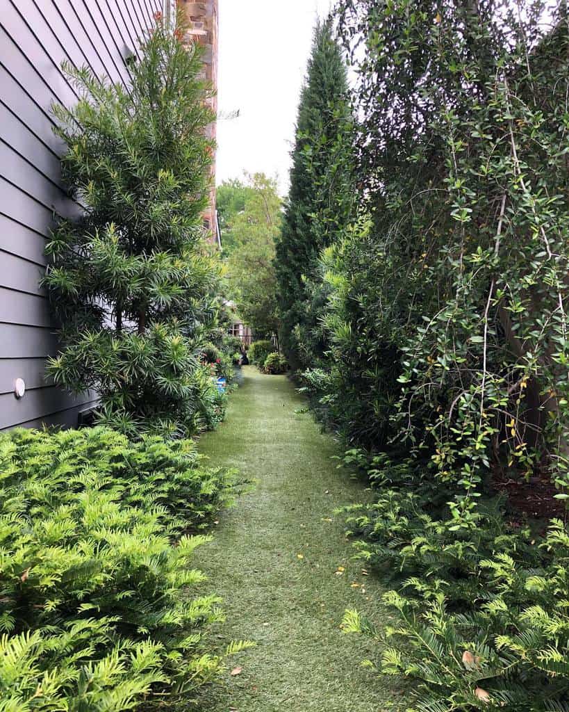 Narrow grassy path between a house and dense greenery, leading to a sunlit area