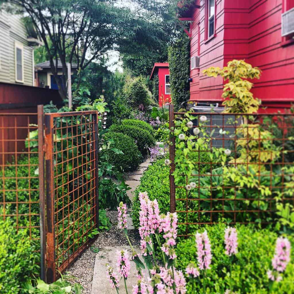 A vibrant garden with lush greenery and pink flowers lines a narrow path leading to a red house, bordered by a rustic metal gate