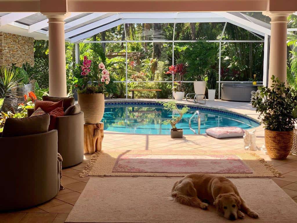 Cozy patio with a pool and lush plants