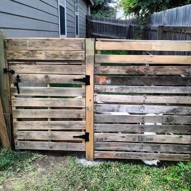 Rustic DIY pallet gate with black metal hinges, offering a budget-friendly and functional backyard enclosure with a weathered wood finish