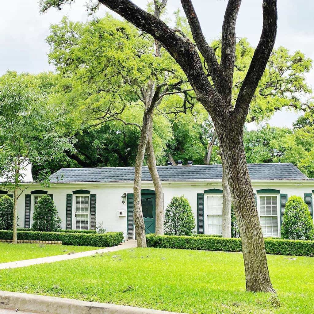 Front yard with trees