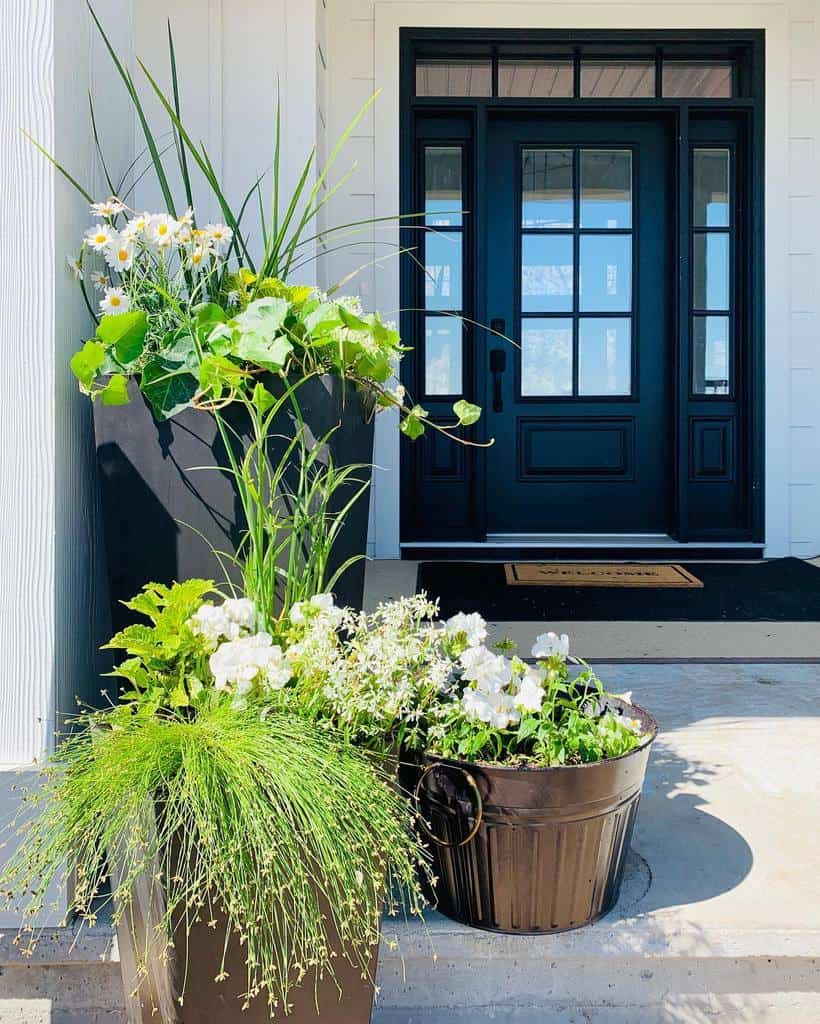 Potted plants with white flowers and grass on a porch, in front of a black front door with glass panels