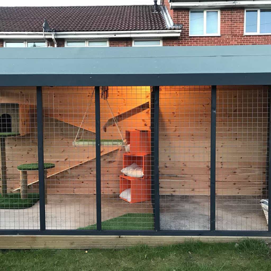 Outdoor cat enclosure with wire mesh, wooden structure, perches, ramps, and soft bedding attached to a house with lighting inside