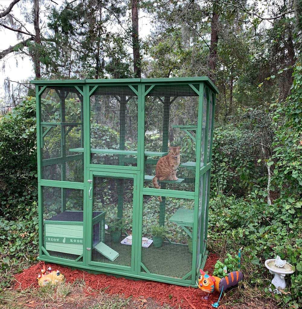 A cat sits inside a large green outdoor enclosure surrounded by trees and garden decorations in a forested area