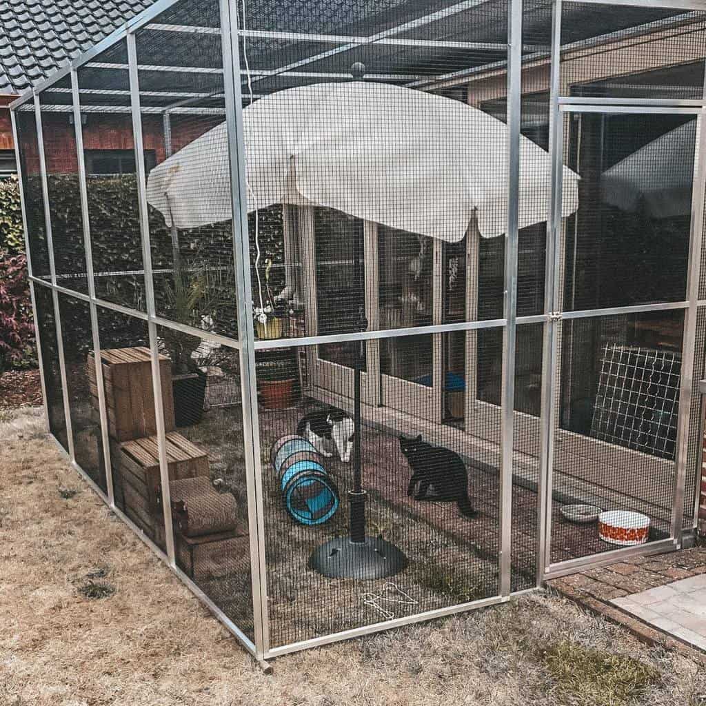 Two cats in an outdoor cat enclosure with a tunnel, umbrella, and toys next to a house with several doors