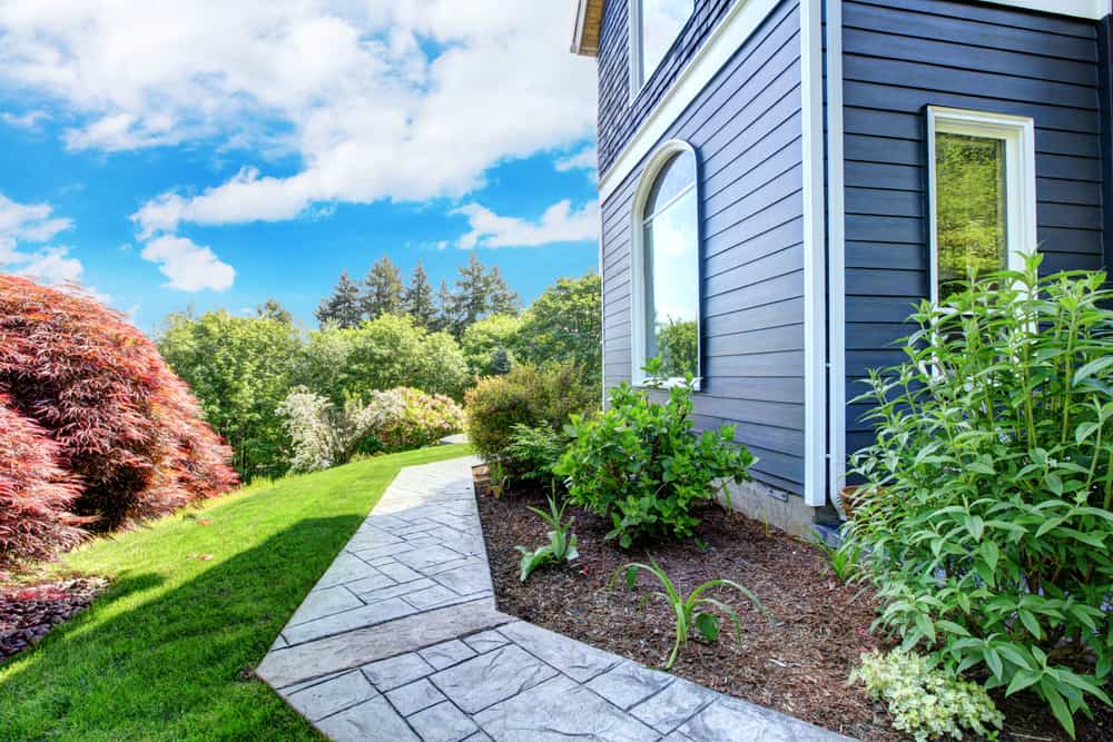 Side yard with a curved stamped concrete pathway, vibrant greenery, a manicured lawn, and a navy blue house with large windows