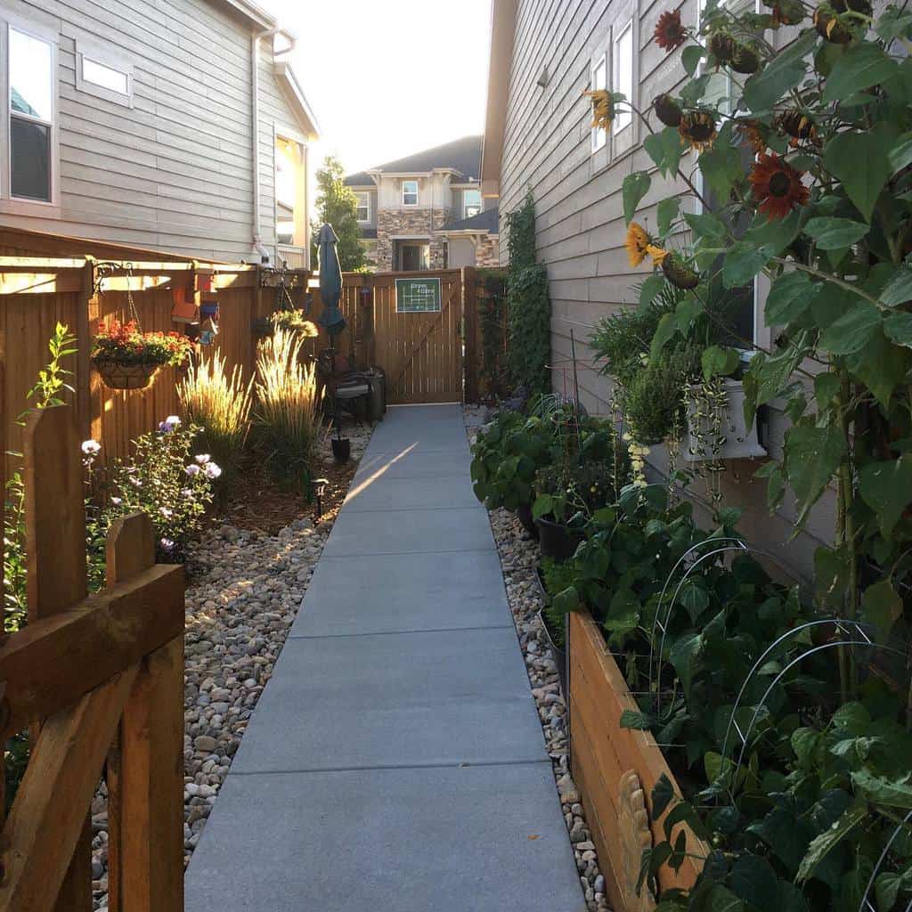 Narrow sidewalk between houses with a wooden fence, lush garden, and sunflowers under a clear sky