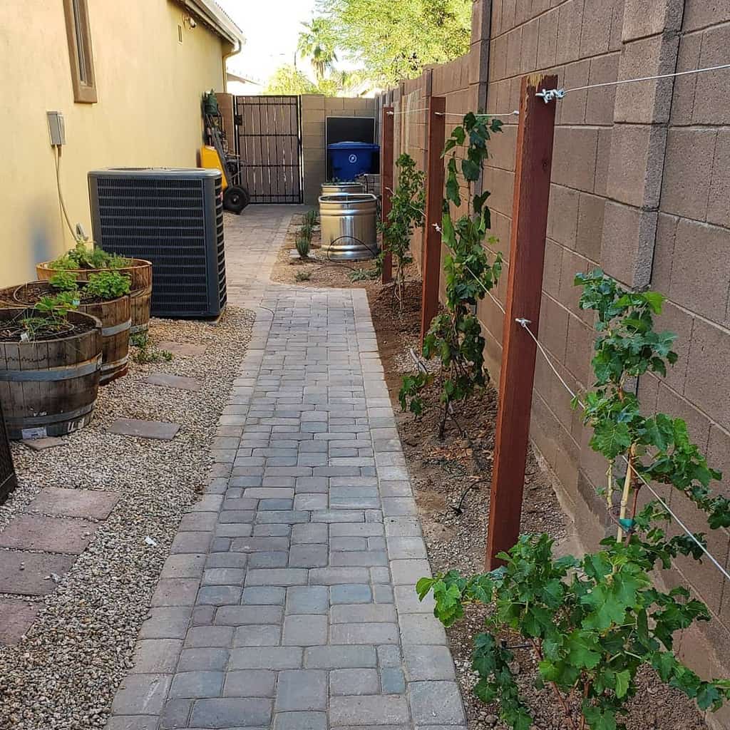 Side yard with a paved walkway, trellised grapevines, wooden barrel planters, gravel landscaping, and utility equipment against the walls