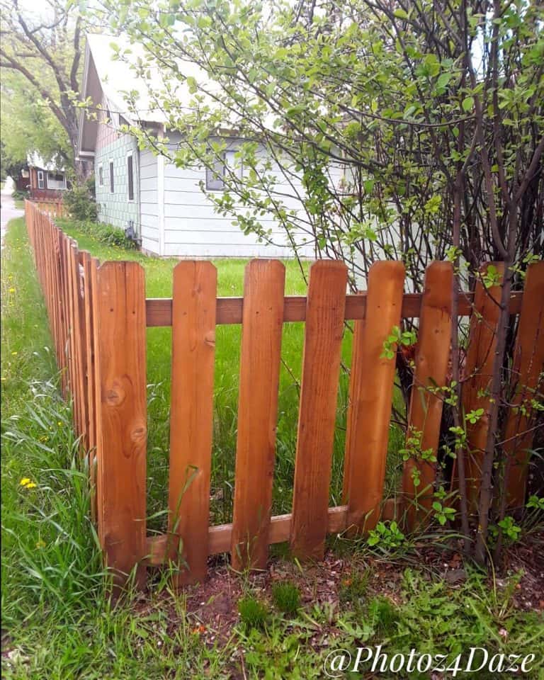 63 Easy Pallet Fence Ideas that Give Privacy