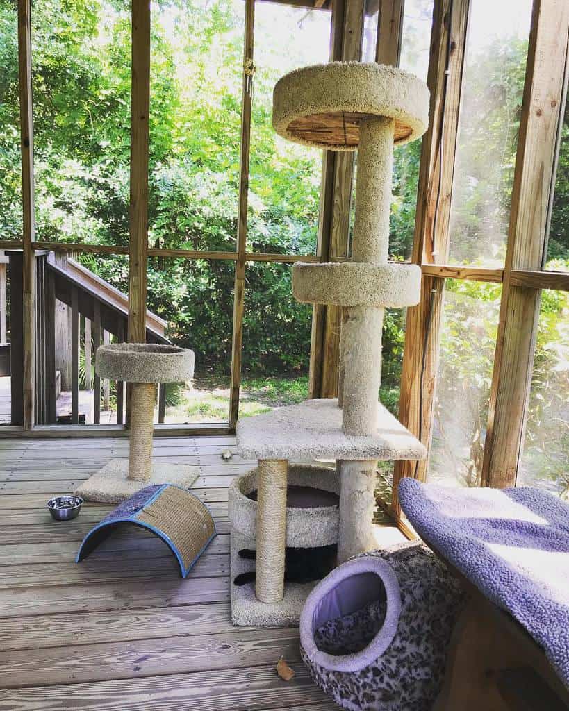 Cat play area on a wooden deck with tall scratching posts, a small rug, stairs outside, and lush greenery visible through windows