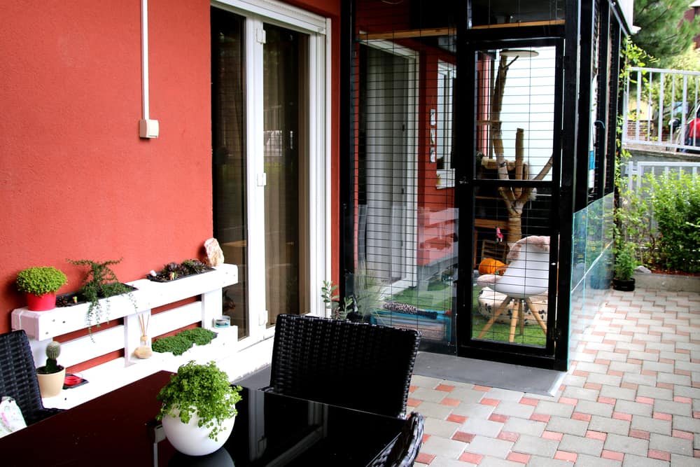 Outdoor patio with seating, red wall, and a glass-enclosed catio with climbing structures and toys; potted plants decorate the area