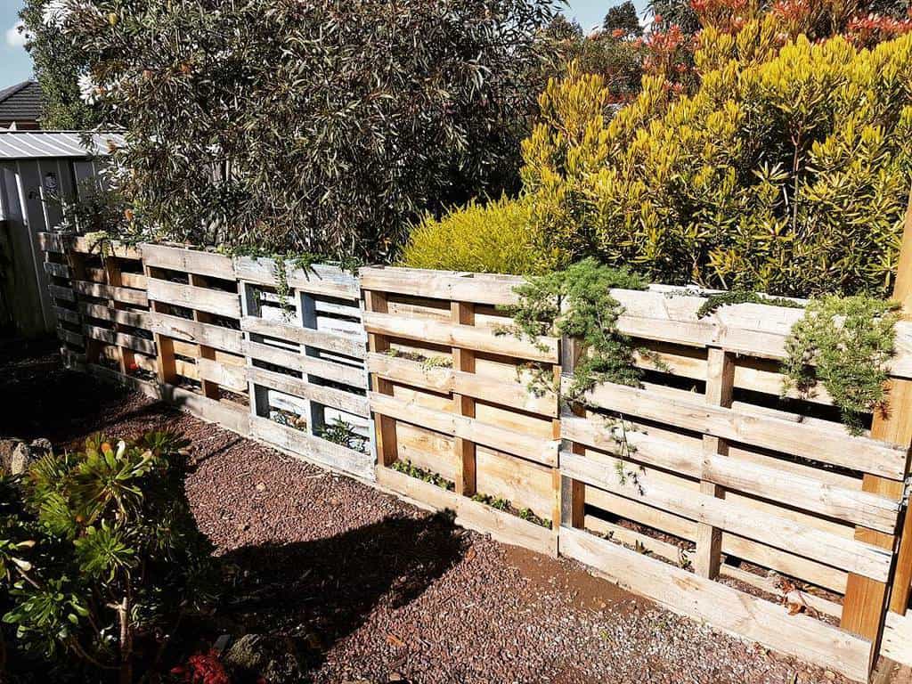 Rustic pallet fence repurposed as a vertical garden, with plants growing between slats, blending seamlessly with the surrounding greenery