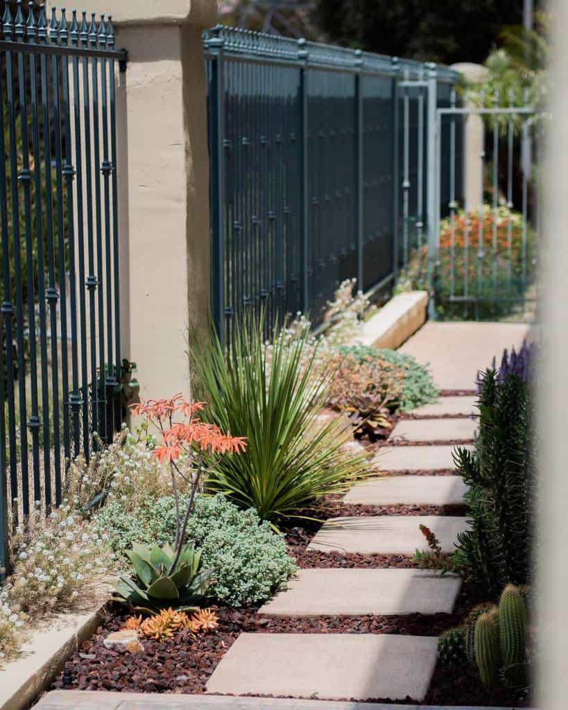 A narrow garden path with stepping stones, lined with succulents, cactus, and a green metal fence on one side