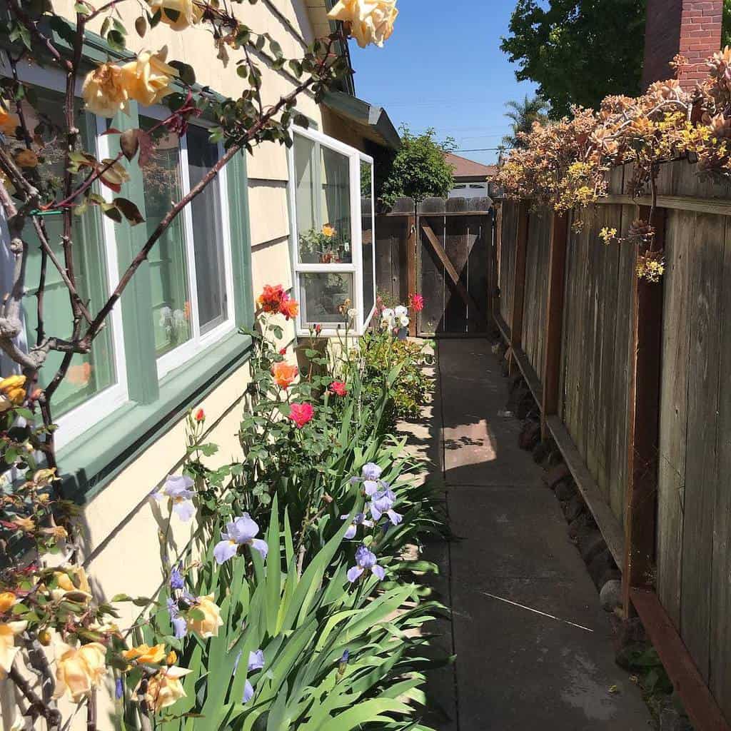 A narrow garden path with colorful flowers beside a house and wooden fence