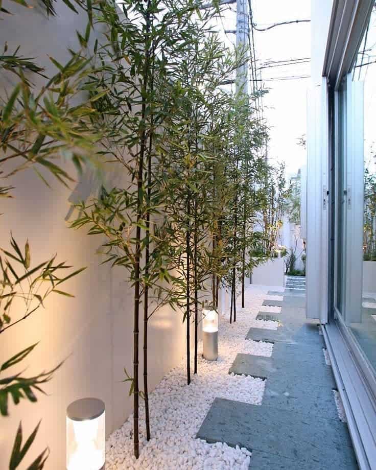 A modern garden with bamboo plants, white pebbles, stepping stones, and soft lighting along a glass wall