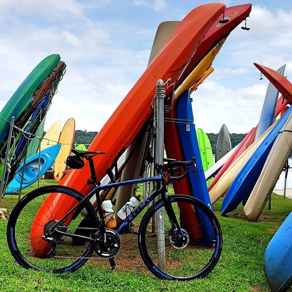 Vertical kayak storage by water's edge.