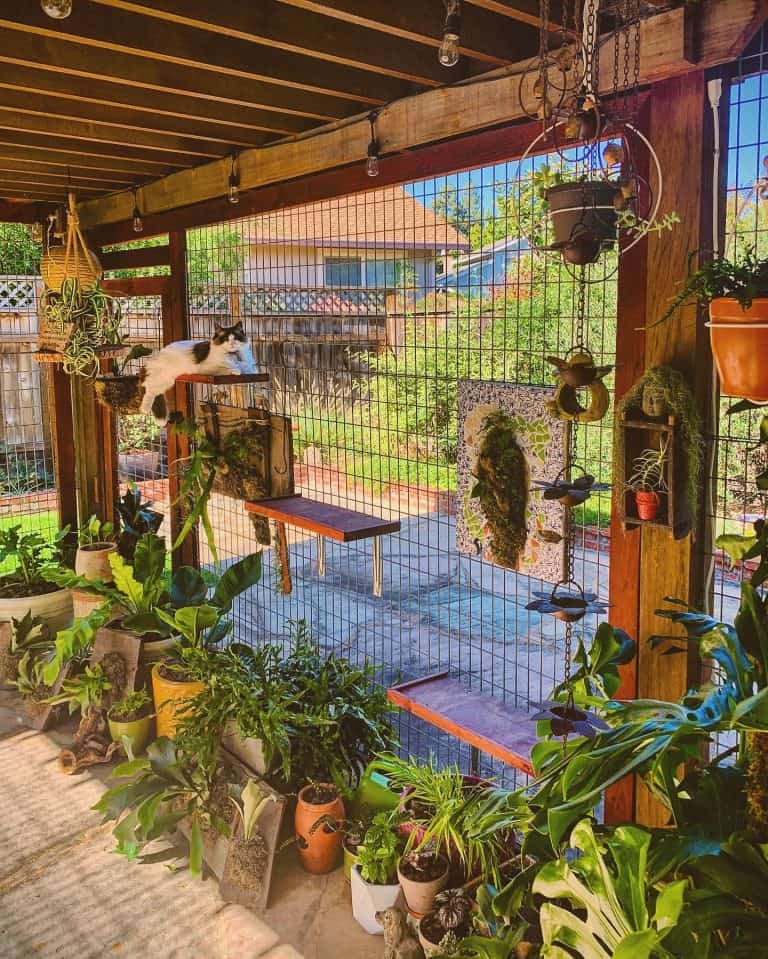 13 Catio Design Ideas for Your Purry Friend