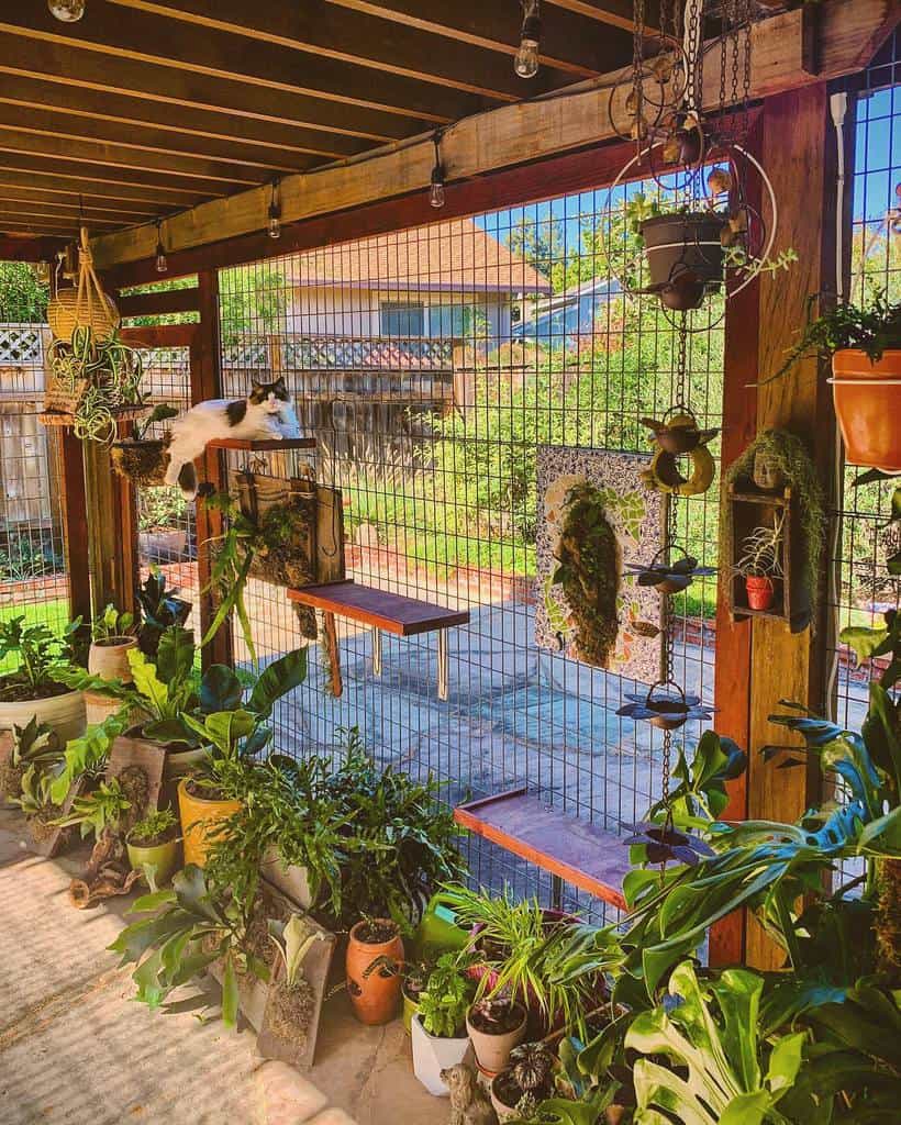 Beautifully decorated catio with lush potted plants, wooden perches, hanging planters, and a relaxed cat enjoying the greenery