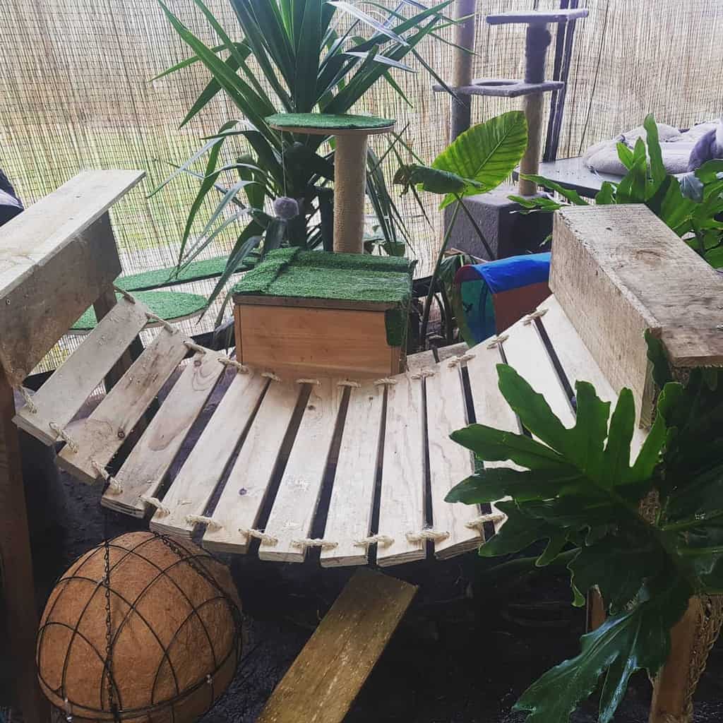 Wooden cat play area with plants, a small green-roofed shelter, and a curved walkway