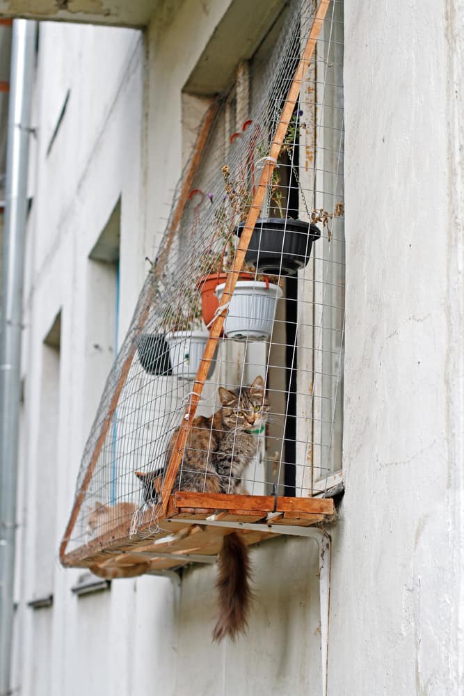 DIY window catio with a wooden frame and mesh enclosure, featuring potted plants and two cats enjoying fresh air from a secure perch