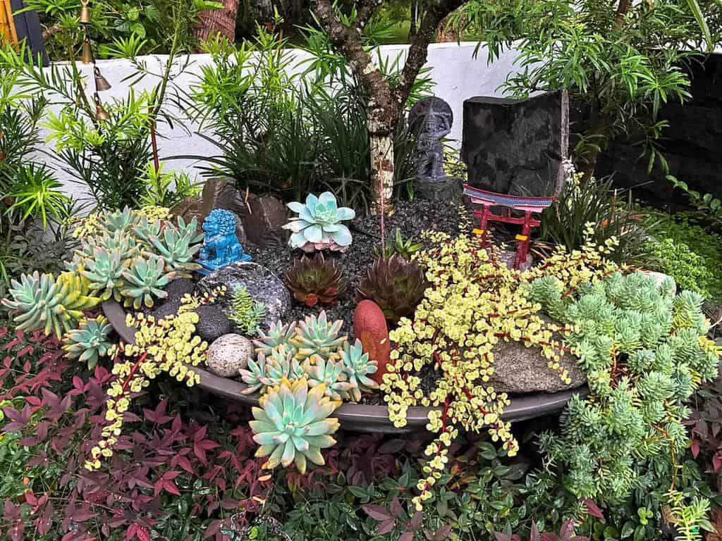 Vibrant xeriscape garden with succulents, tropical plants, decorative stones, and miniature accents in a lush backyard setting