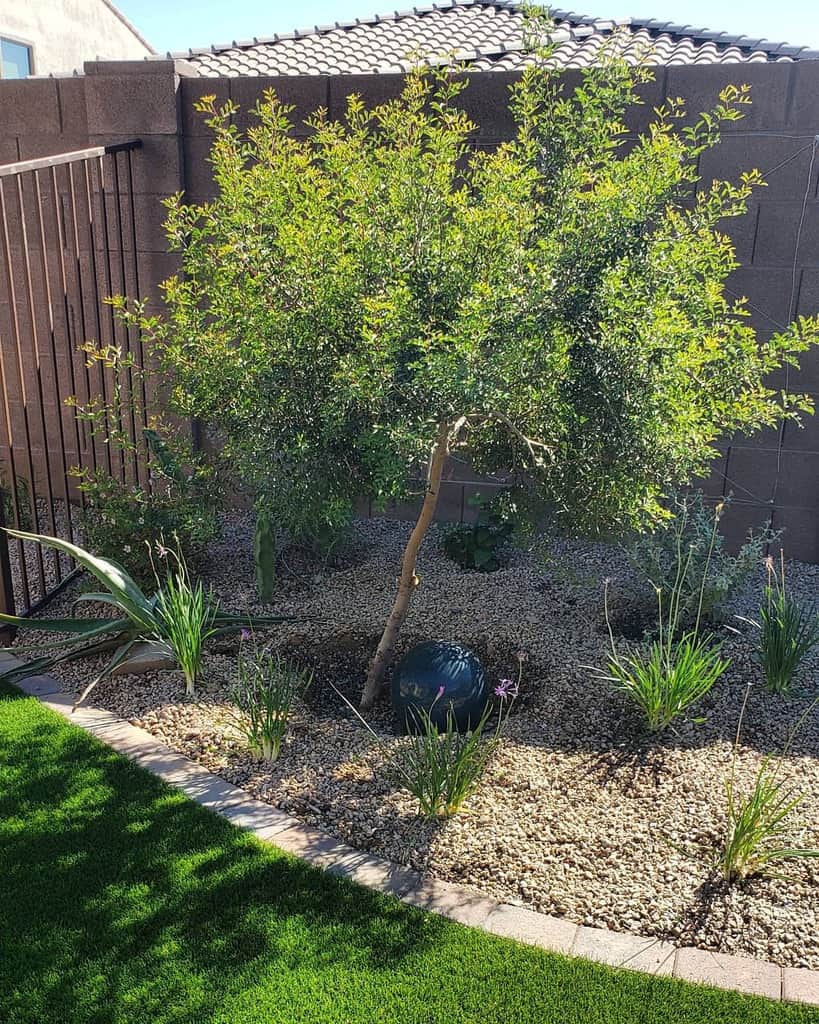 Backyard xeriscape with a small tree, drought-tolerant plants, gravel, and artificial grass bordered by a brick pathway