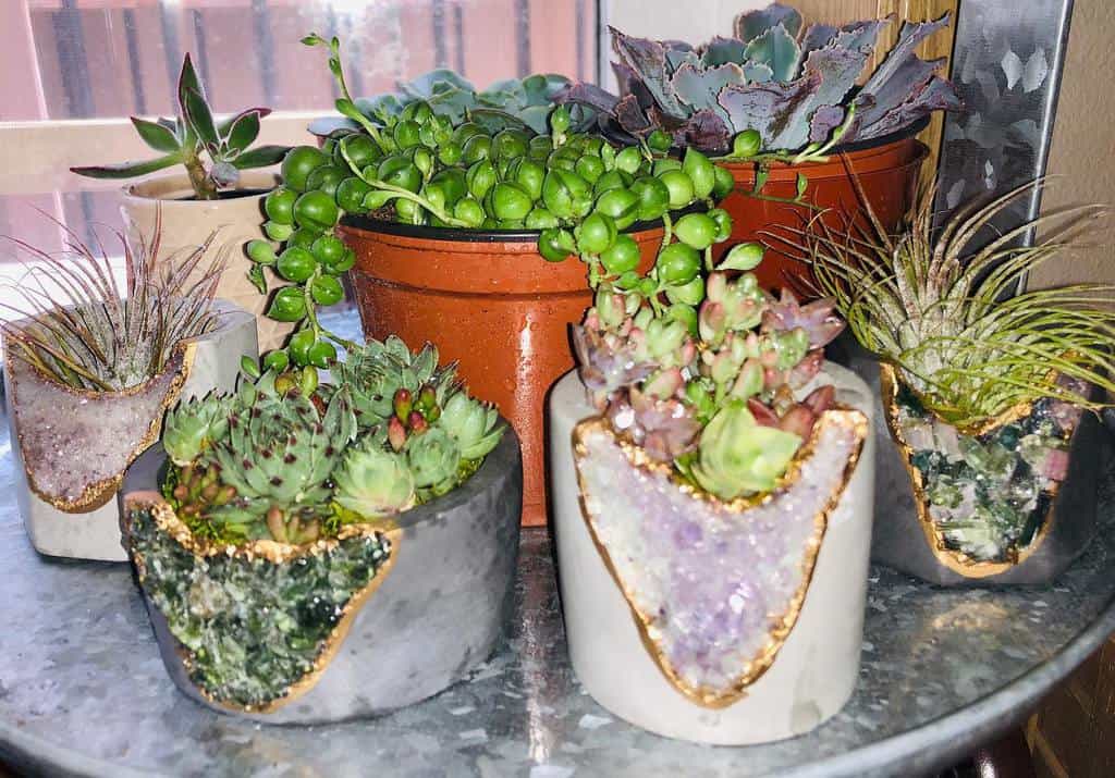 artsy succulent pot