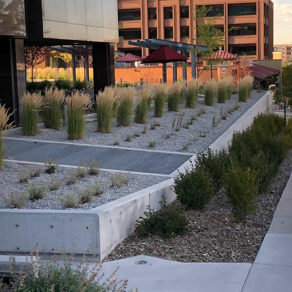 Modern urban xeriscape with drought-tolerant grasses, gravel, and raised concrete planters outside a commercial building