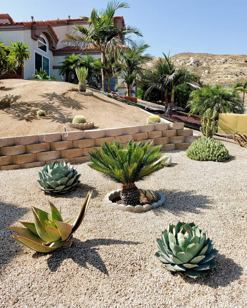 Desert-style xeriscape with palm trees, succulents, barrel cacti, and gravel landscaping surrounding a Mediterranean-style home