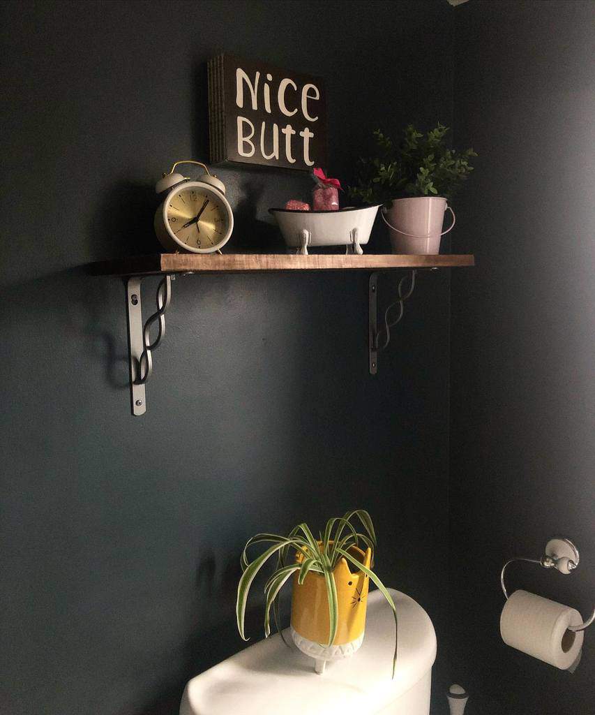 Bathroom corner with a floating shelf holding decor items and a sign reading "Nice Butt," a plant on top of the toilet, and a toilet paper holder