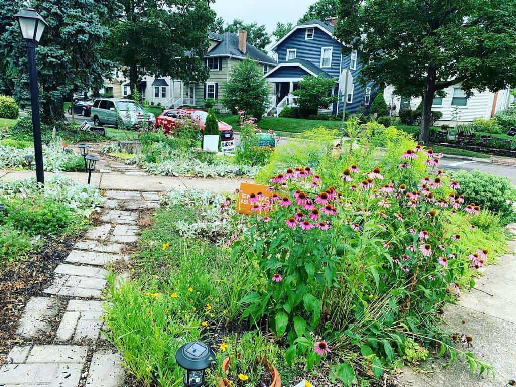 Front yard xeriscape with native wildflowers, drought-tolerant plants, brick pathways, and decorative garden lights in a suburban setting