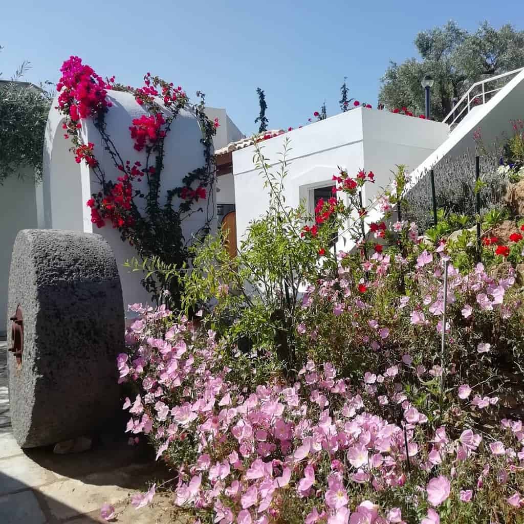 Beautiful Mediterranean-style xeriscape with pink and red flowering plants, white stucco walls, and a rustic stone mill wheel