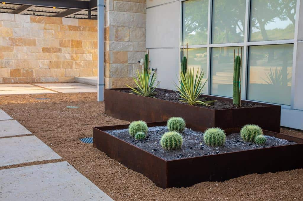 Modern xeriscape with raised rusted steel planters, cacti, and desert plants, set against a contemporary building with stone walls