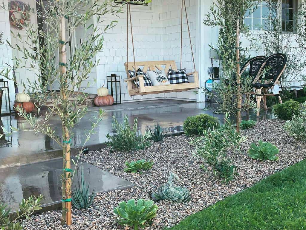 xeriscape with bamboo seedling