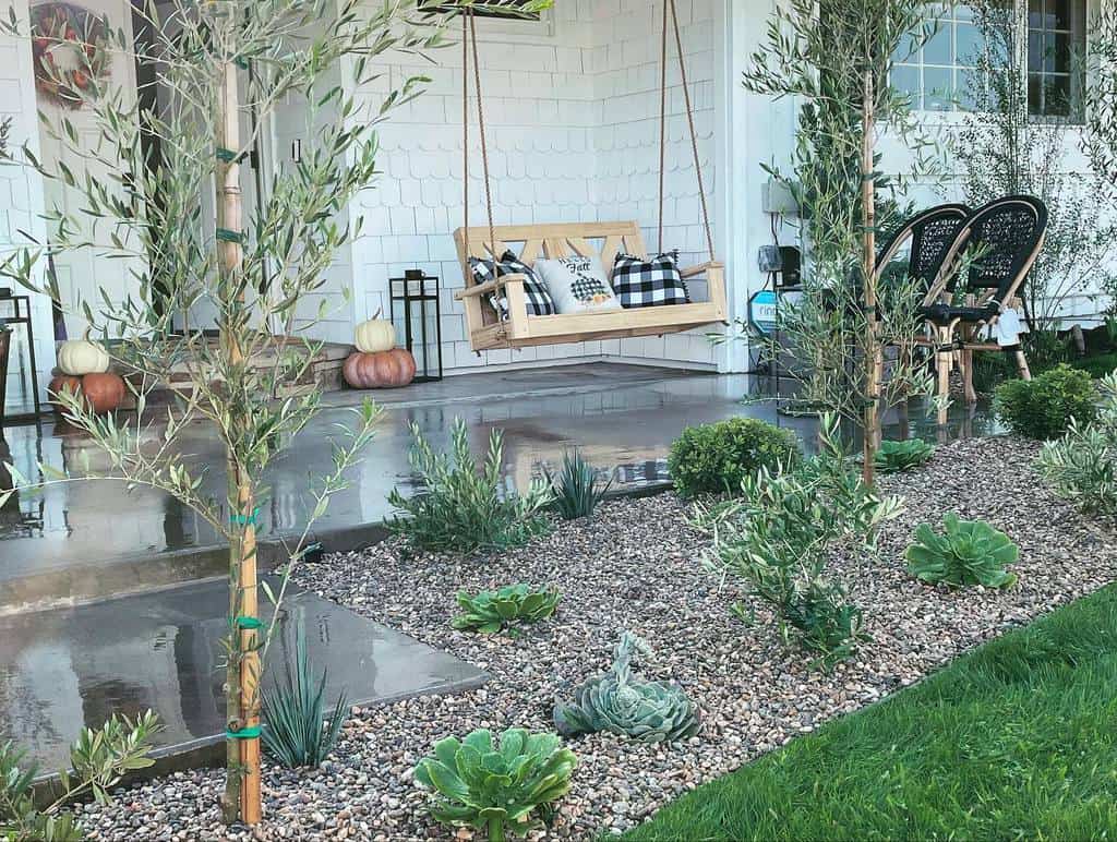 Cozy farmhouse-style porch with a wooden swing, drought-tolerant olive trees, succulents, and gravel landscaping for a low-water garden