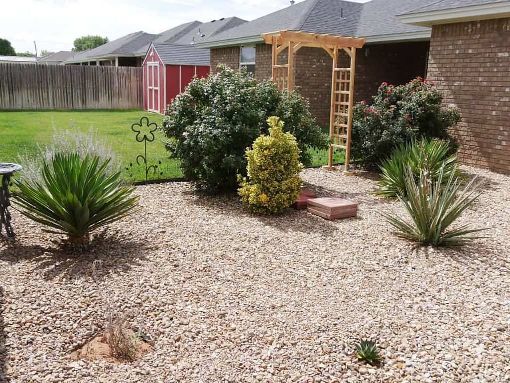 Low-maintenance backyard xeriscape with gravel, drought-tolerant plants, a wooden arbor, and a red garden shed in the background